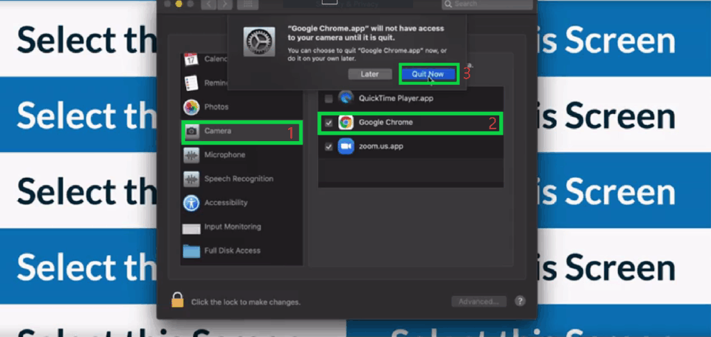 Select Camera from the left-hand side > Enable/Re-enable Google Chrome