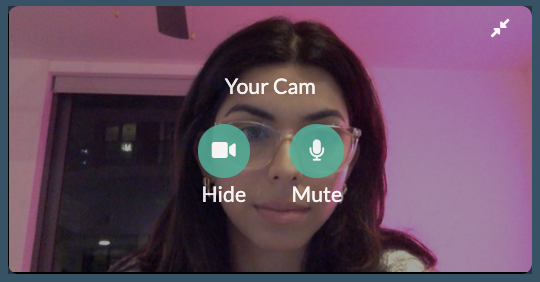 Live Conversation Guide for Testers - Mute audio or video option