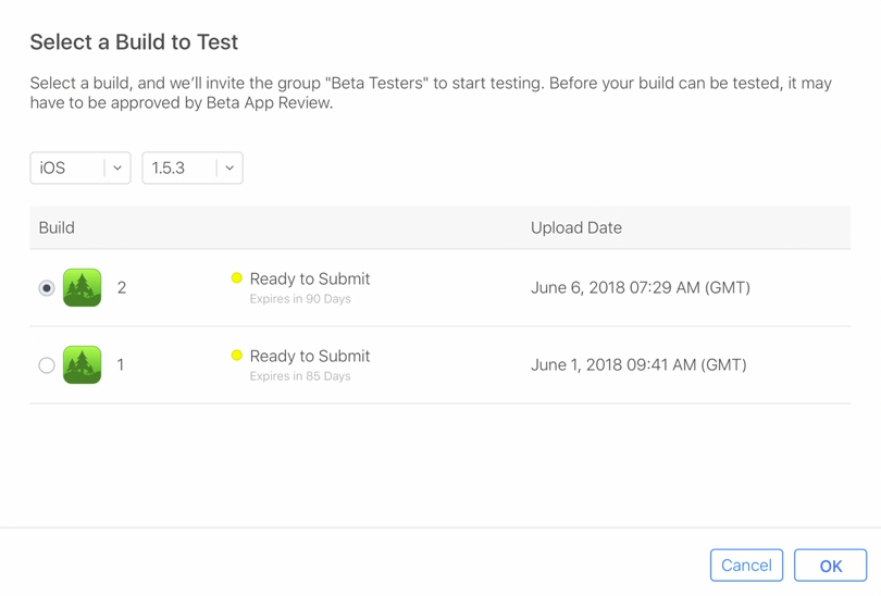 App Store Connect - Select a Build to Test