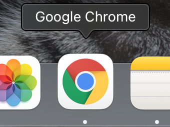 Google Chrome icon