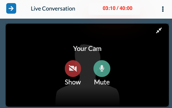 Live Conversation Guide for Testers - Show video option